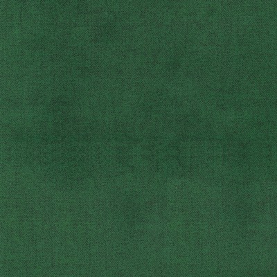 Silver State Ava Evergreen