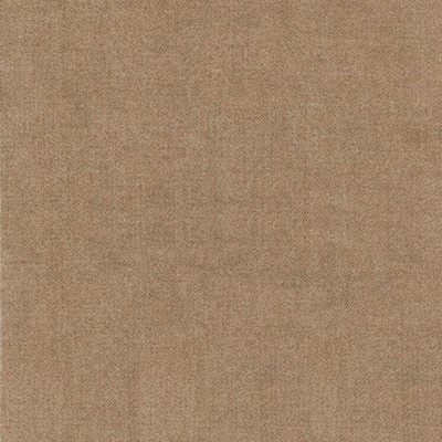 Silver State Ava Latte