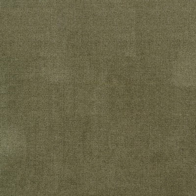 Silver State Ava Lichen