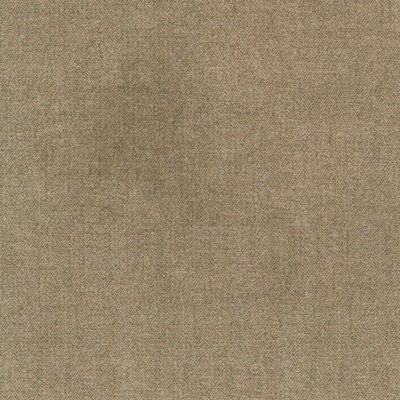 Silver State Ava Mink