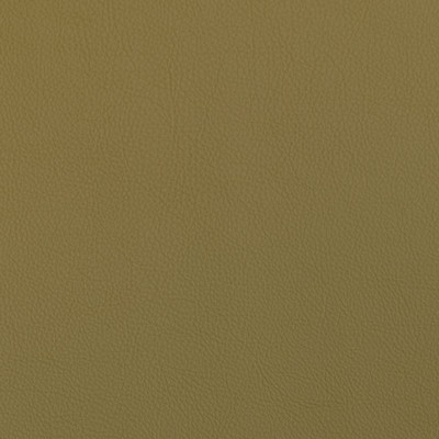 Silver State Barcelona Moss