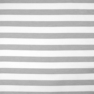 Silver State Bridgeport Graphite