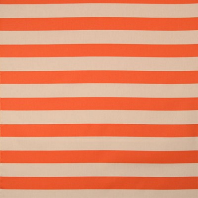 Silver State Bridgeport Paradise