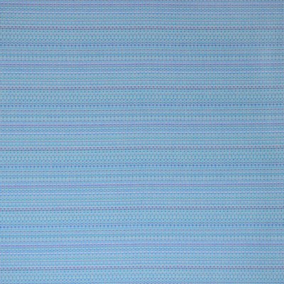 Silver State Calypso Bluebell