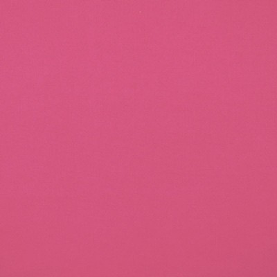 Silver State Canvas Hot Pink