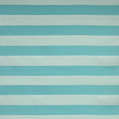 Silver State Carolina Aquarium