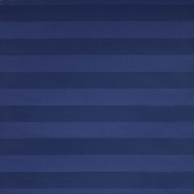 Silver State Carolina Indigo