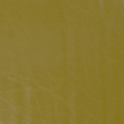 Silver State Chaparral Kumquat