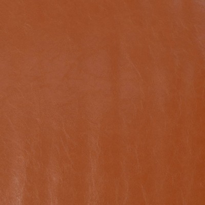 Silver State Chaparral Rawhide