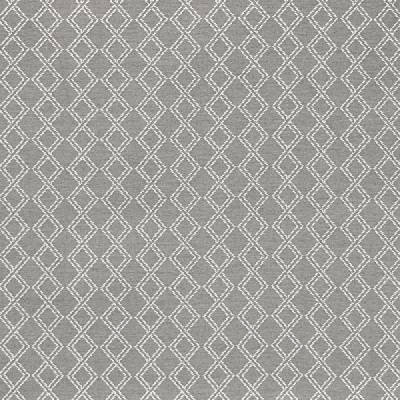 Silver State Chicago Fossil