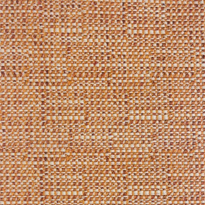 Silver State Clara Apricot