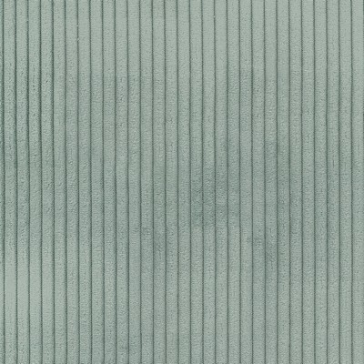 Silver State Concord Breeze