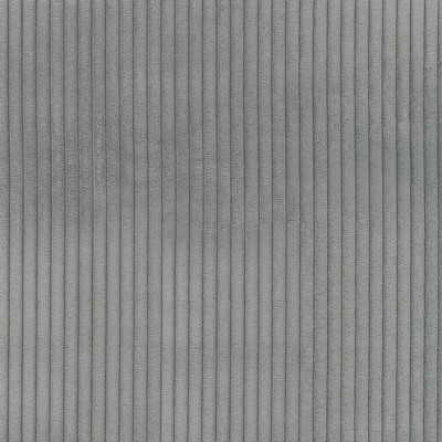 Silver State Concord Dolphin