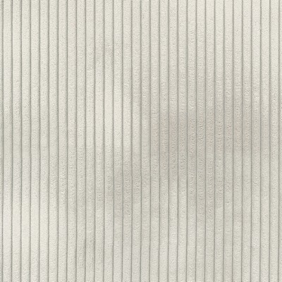 Silver State Concord Seashell