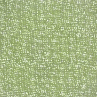 Silver State Copeland Aloe