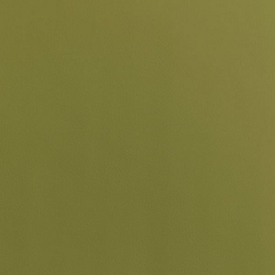 Silver State Cordoba Meadow