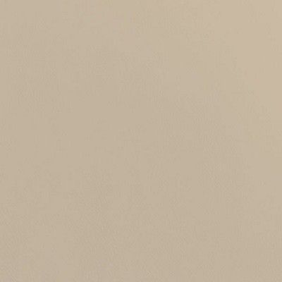 Silver State Cordoba Oyster