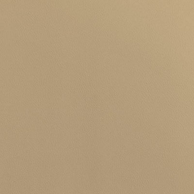 Silver State Cordoba Shell