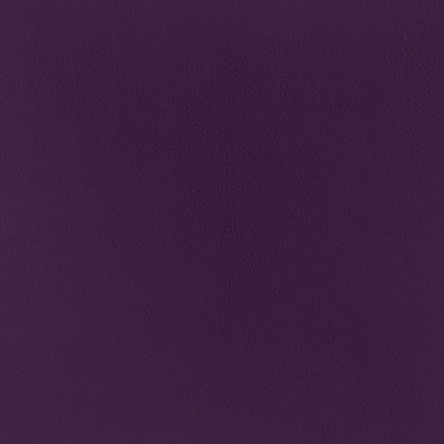 Silver State Cordoba Violet