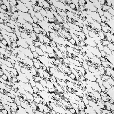 Silver State Corinth Pompeii