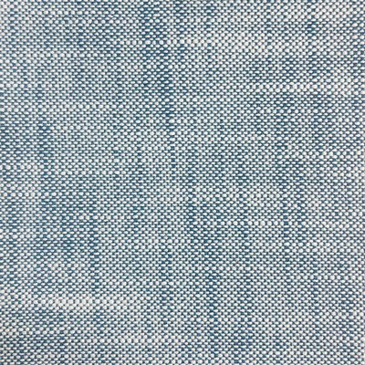 Silver State Corky Denim