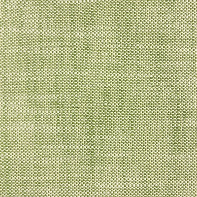 Silver State Corky Holly