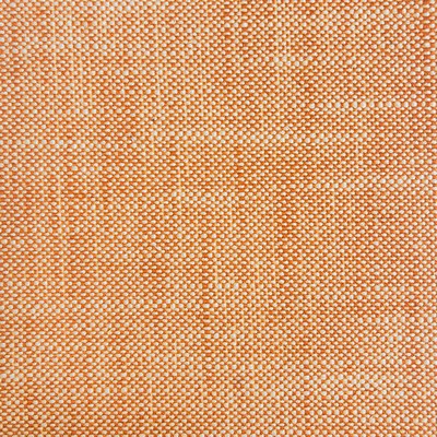 Silver State Corky Peach