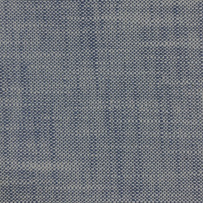 Silver State Corky Sapphire