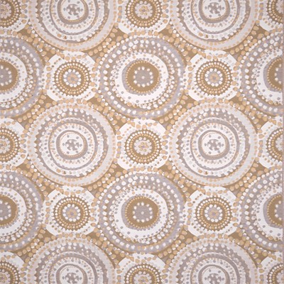 Silver State Cosmos Sandstone