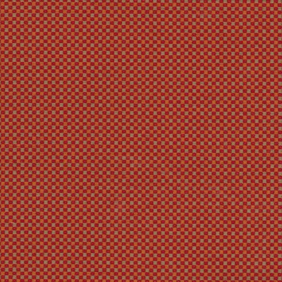 Silver State Cusco Tomato