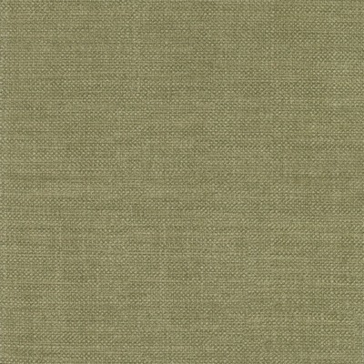 Silver State Espania Fern