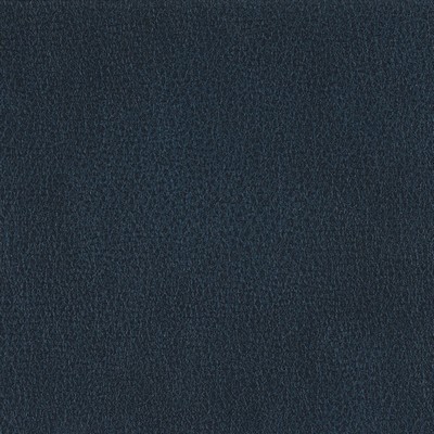 Silver State Fiesta Abyss