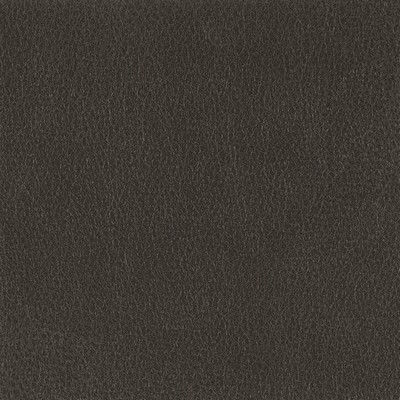 Silver State Fiesta Coal