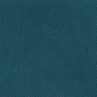 Silver State Fiesta Cove