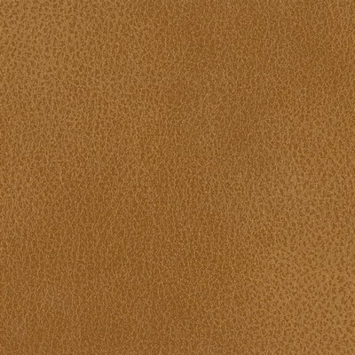 Silver State Fiesta Hazel