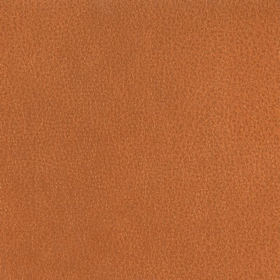 Silver State Fiesta Koi