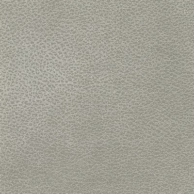 Silver State Fiesta Metal