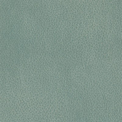 Silver State Fiesta Spa