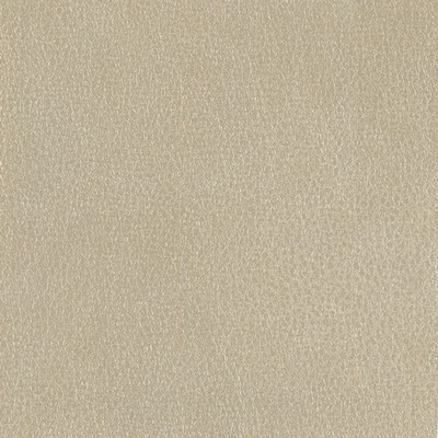 Silver State Fiesta Taupe