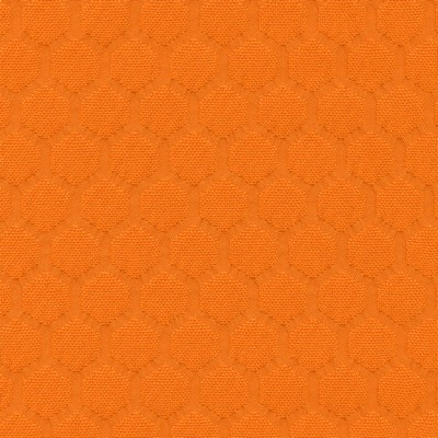 Silver State Hive Begonia