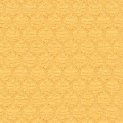 Silver State Hive Bumblebee