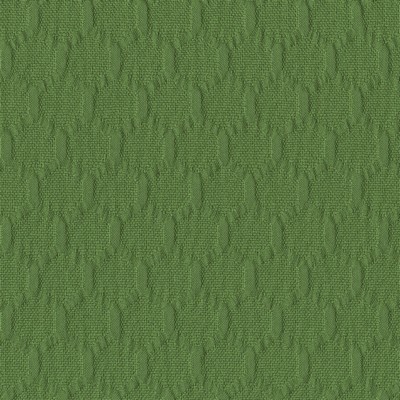 Silver State Hive Fern