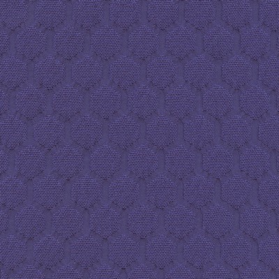 Silver State Hive Petunia