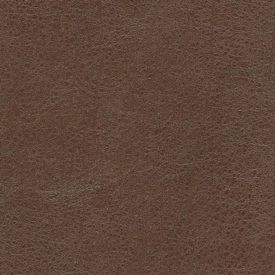 Silver State Isabel Chocolate