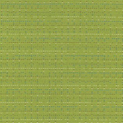 Silver State Istanbul Ginkgo