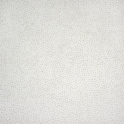 Silver State Jedi Salt