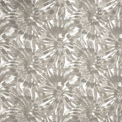 Silver State Kokomo Ash