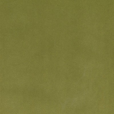 Silver State Lido Aloe