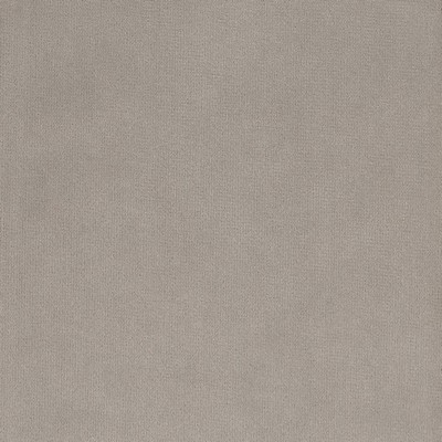 Silver State Lido Dove