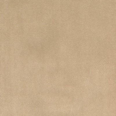 Silver State Lido Dune